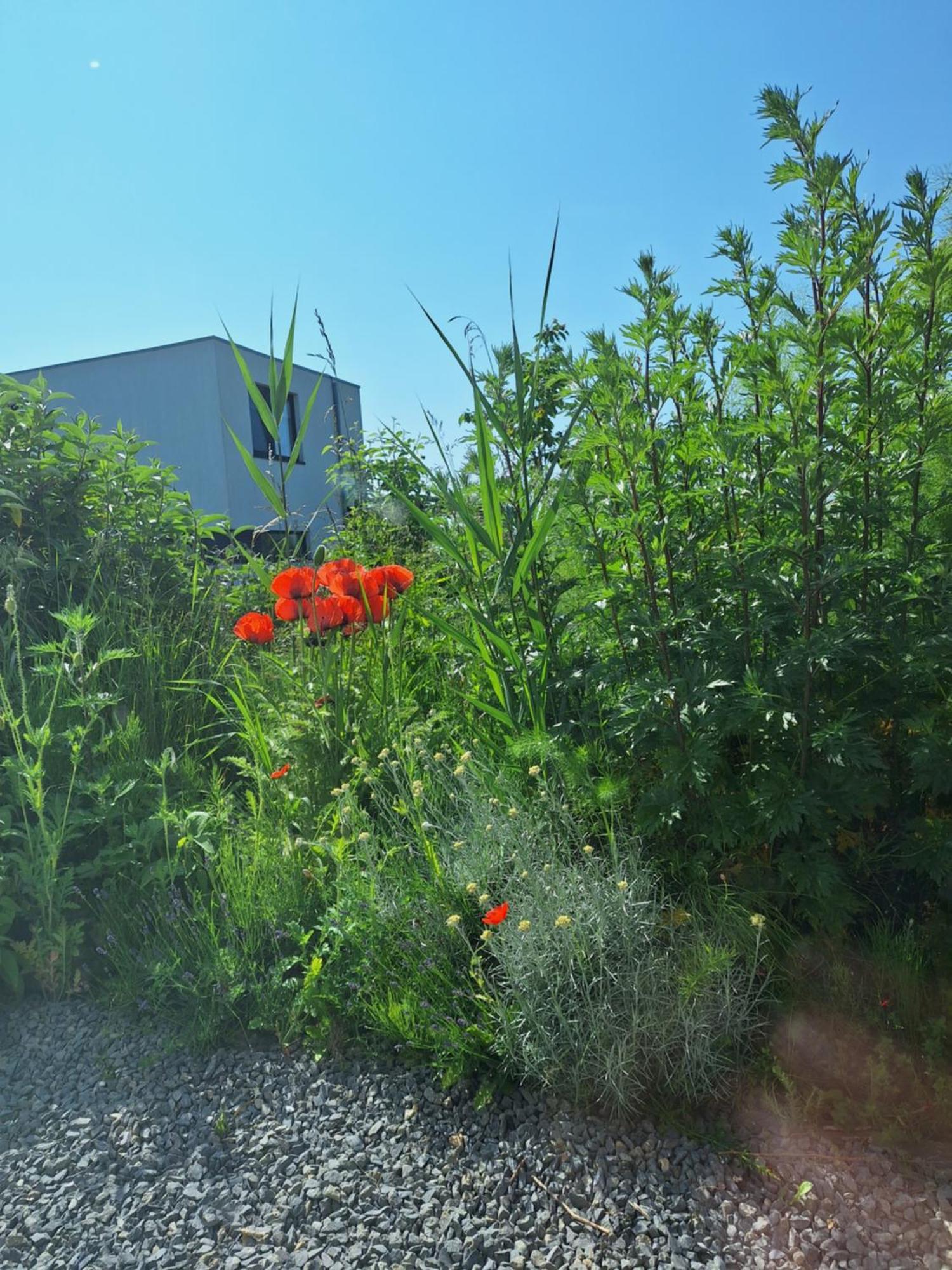Luxury Suites Oosterwold Almere Esterno foto